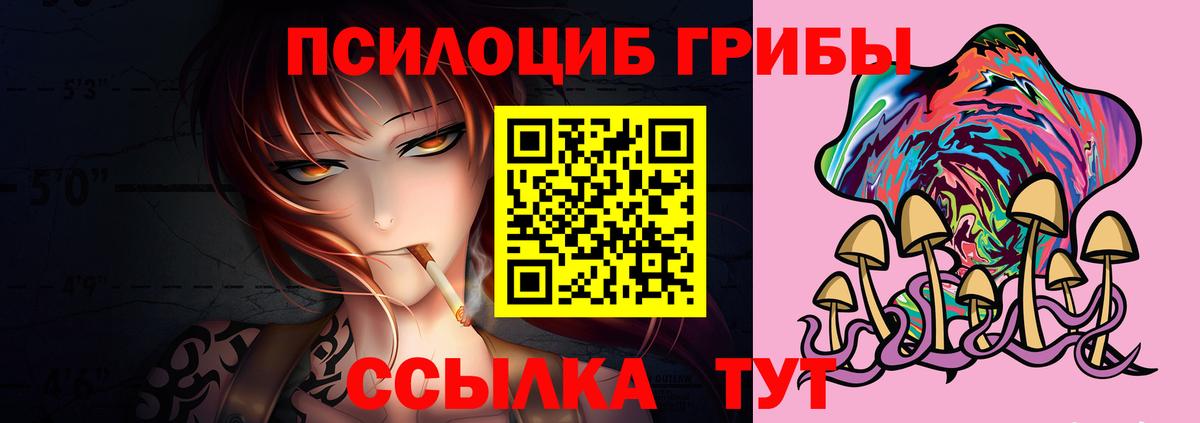 Псилоцибиновые грибы MAGIC MUSHROOMS  где продают   Ростов Великий  Вход с VPN 