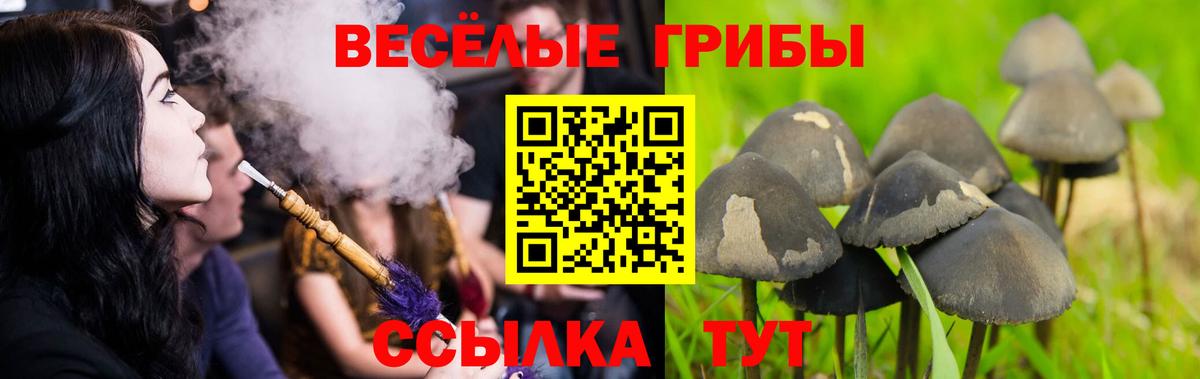 Псилоцибиновые грибы Cubensis Ростов Великий
