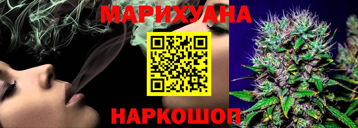 Конопля гибрид Ростов Великий
